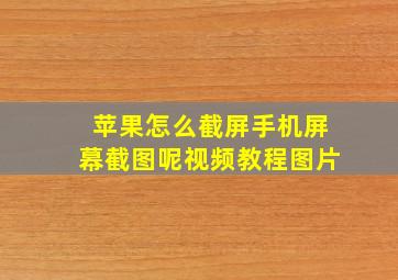 苹果怎么截屏手机屏幕截图呢视频教程图片