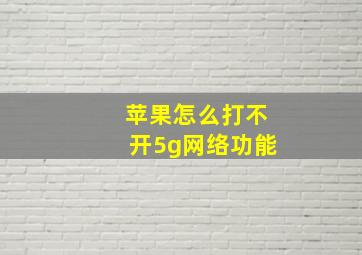 苹果怎么打不开5g网络功能