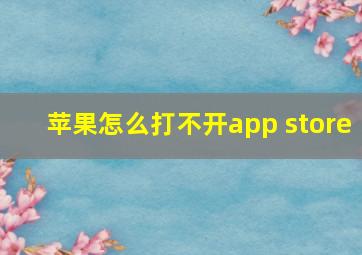 苹果怎么打不开app store