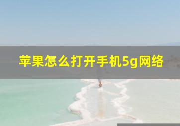 苹果怎么打开手机5g网络