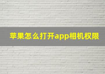 苹果怎么打开app相机权限