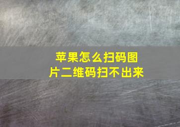 苹果怎么扫码图片二维码扫不出来