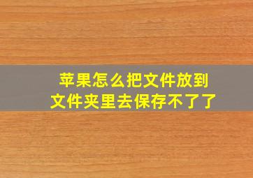 苹果怎么把文件放到文件夹里去保存不了了