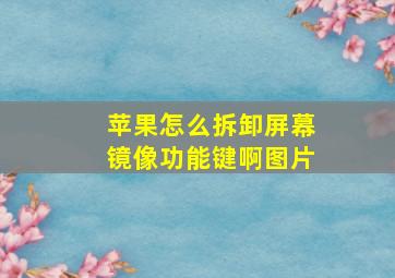 苹果怎么拆卸屏幕镜像功能键啊图片