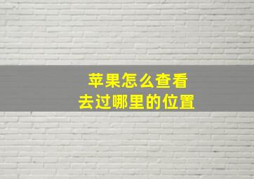 苹果怎么查看去过哪里的位置