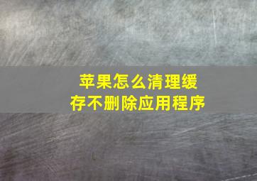 苹果怎么清理缓存不删除应用程序