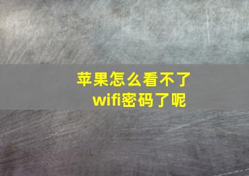 苹果怎么看不了wifi密码了呢