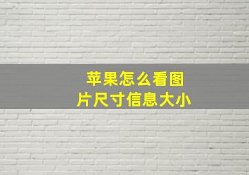 苹果怎么看图片尺寸信息大小