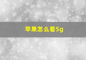 苹果怎么看5g