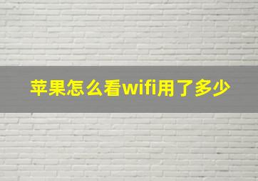 苹果怎么看wifi用了多少