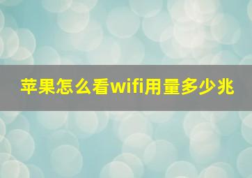 苹果怎么看wifi用量多少兆