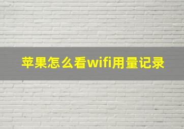 苹果怎么看wifi用量记录