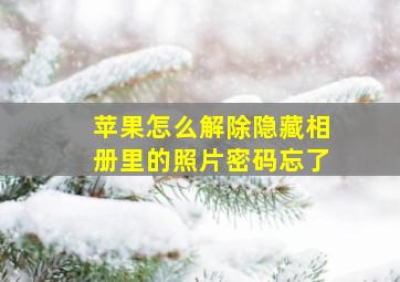 苹果怎么解除隐藏相册里的照片密码忘了