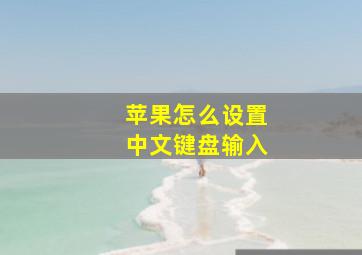 苹果怎么设置中文键盘输入