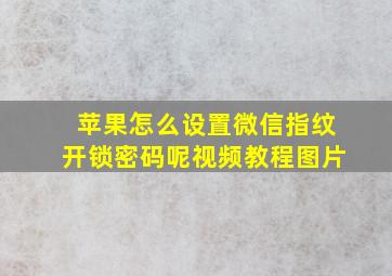 苹果怎么设置微信指纹开锁密码呢视频教程图片