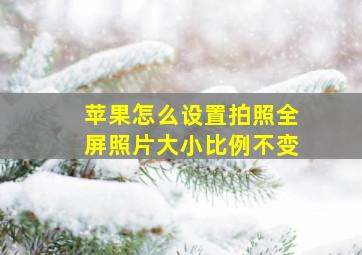 苹果怎么设置拍照全屏照片大小比例不变