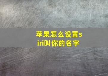 苹果怎么设置siri叫你的名字