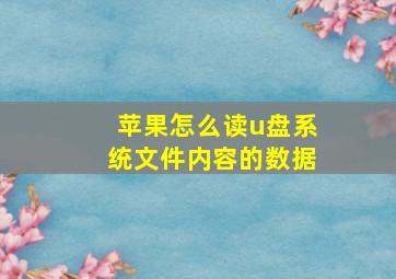 苹果怎么读u盘系统文件内容的数据