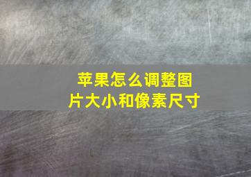 苹果怎么调整图片大小和像素尺寸