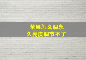 苹果怎么调永久亮度调节不了