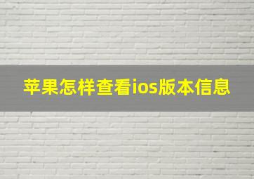 苹果怎样查看ios版本信息