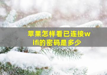 苹果怎样看已连接wifi的密码是多少