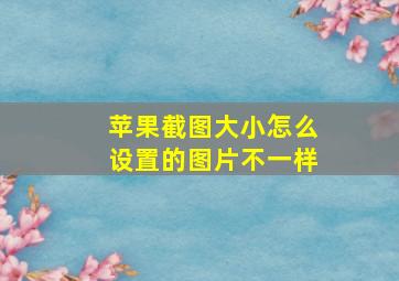 苹果截图大小怎么设置的图片不一样