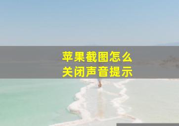 苹果截图怎么关闭声音提示