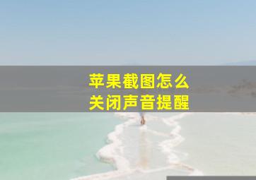 苹果截图怎么关闭声音提醒