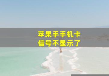 苹果手手机卡信号不显示了