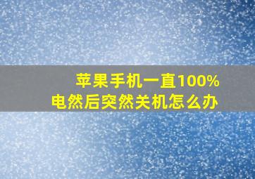 苹果手机一直100%电然后突然关机怎么办