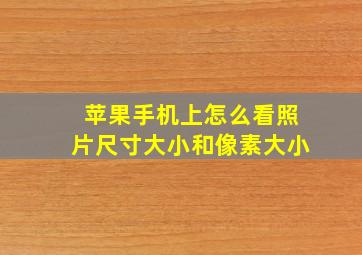 苹果手机上怎么看照片尺寸大小和像素大小