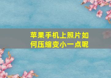 苹果手机上照片如何压缩变小一点呢