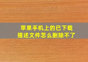 苹果手机上的已下载描述文件怎么删除不了