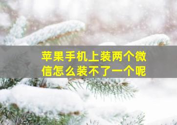 苹果手机上装两个微信怎么装不了一个呢