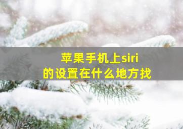 苹果手机上siri的设置在什么地方找