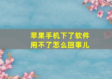 苹果手机下了软件用不了怎么回事儿