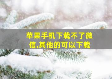 苹果手机下载不了微信,其他的可以下载