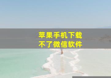 苹果手机下载不了微信软件