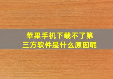 苹果手机下载不了第三方软件是什么原因呢