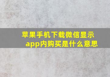 苹果手机下载微信显示app内购买是什么意思