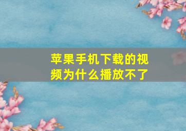 苹果手机下载的视频为什么播放不了