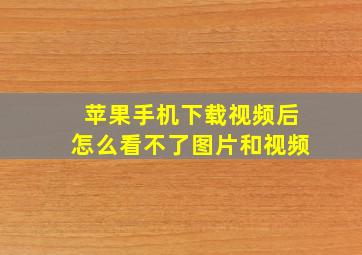 苹果手机下载视频后怎么看不了图片和视频