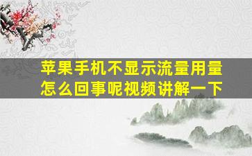 苹果手机不显示流量用量怎么回事呢视频讲解一下