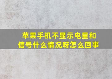 苹果手机不显示电量和信号什么情况呀怎么回事