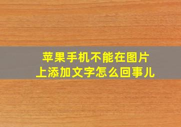 苹果手机不能在图片上添加文字怎么回事儿