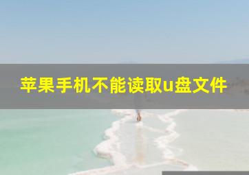 苹果手机不能读取u盘文件