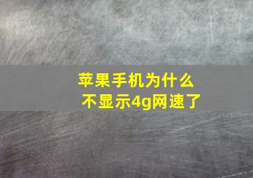 苹果手机为什么不显示4g网速了