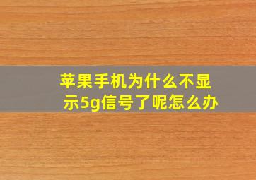 苹果手机为什么不显示5g信号了呢怎么办