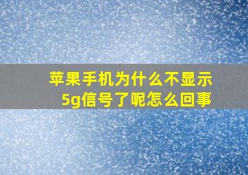 苹果手机为什么不显示5g信号了呢怎么回事